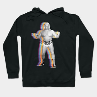 funny young ric flair woo Hoodie